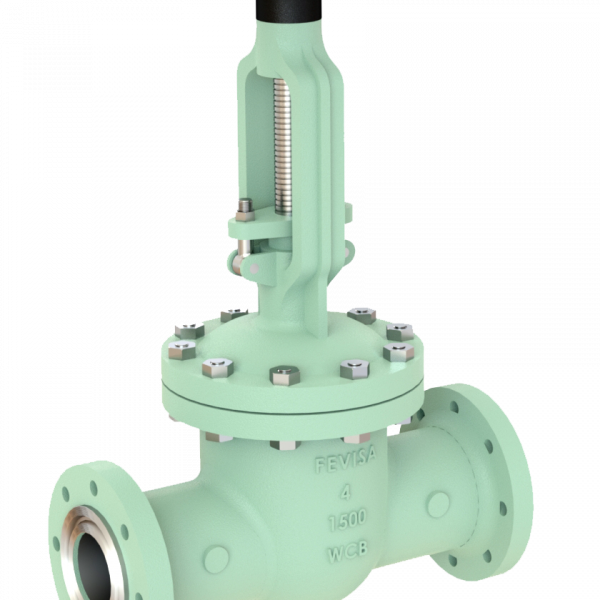 6.-Cast-Gate-Valves-BB-OSY-Flanged-RTJ-Handwheel