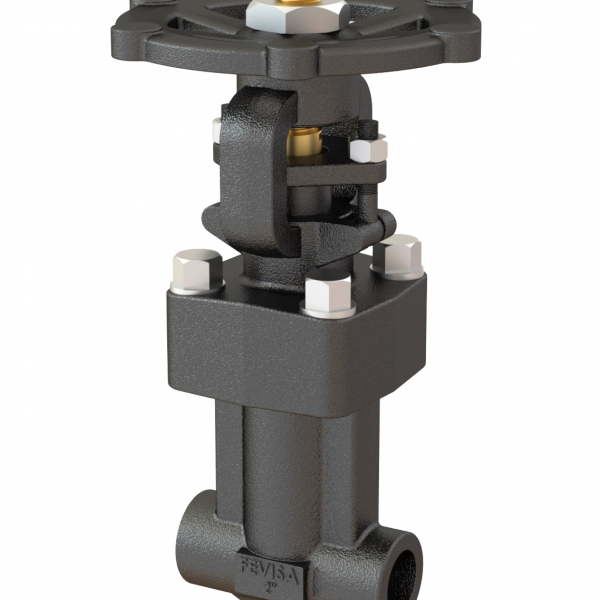 6.-Forged-Gate-Valves-Bolted-Bonnet-FNPT-SW-Ends-Bellow-Sealed